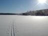 DSC02487.JPG