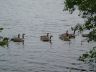 DSC04371.JPG