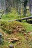 B011121_N0019_ID139947_E9A_P001.jpg