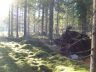 DSC01922.JPG