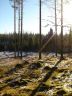 DSC01923.JPG