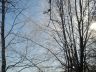 DSC02495.JPG