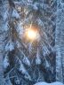 DSC00764.JPG