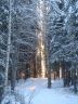 DSC00792.JPG