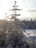 DSC00861.JPG