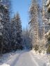 DSC00863.JPG