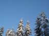 DSC00870.JPG