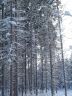 DSC00879.JPG