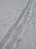 DSC00997.JPG