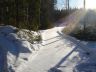 mökiltä270106.JPG